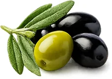 {{OFFER_NAME}} — olive (Olea europaea)